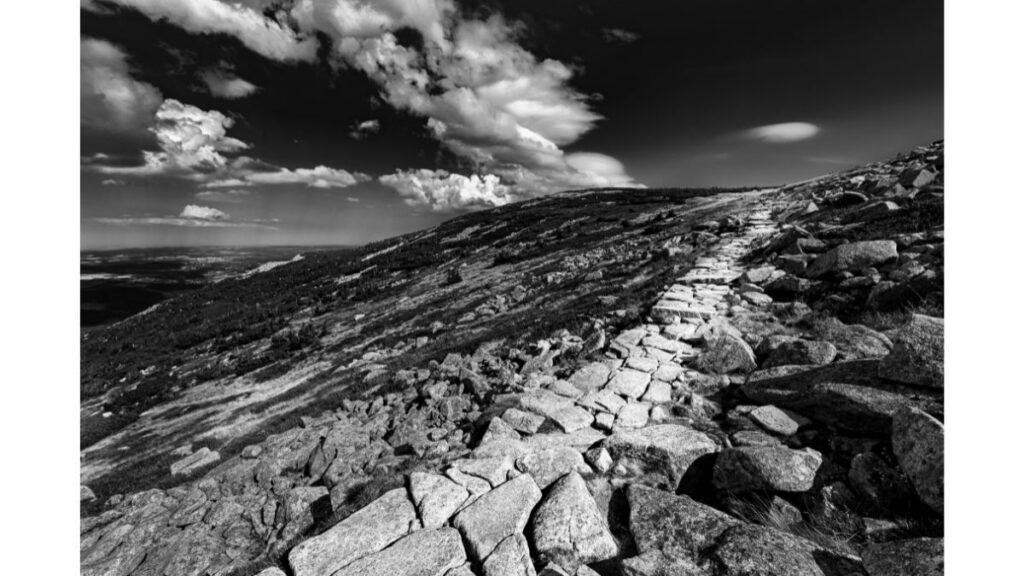 Arizona desert landscape used to illustrate hard water mineral buildup
